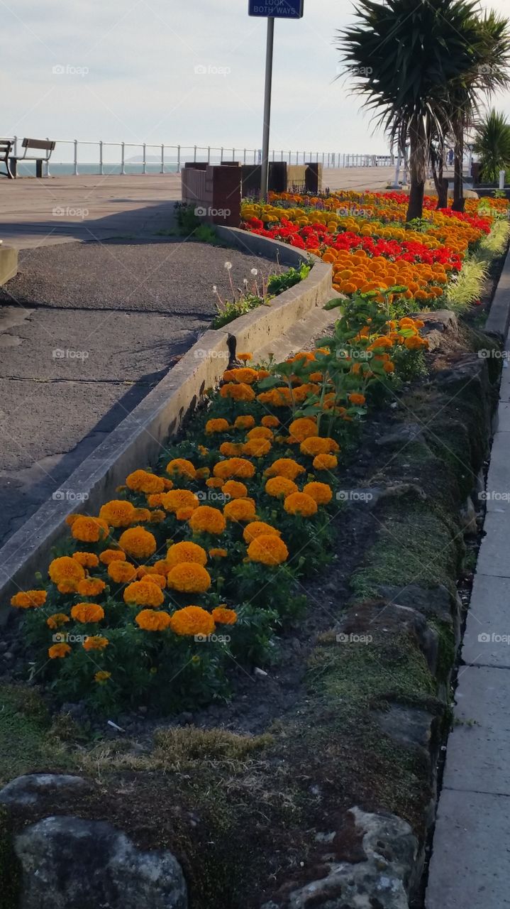 hastings. hastings seaside