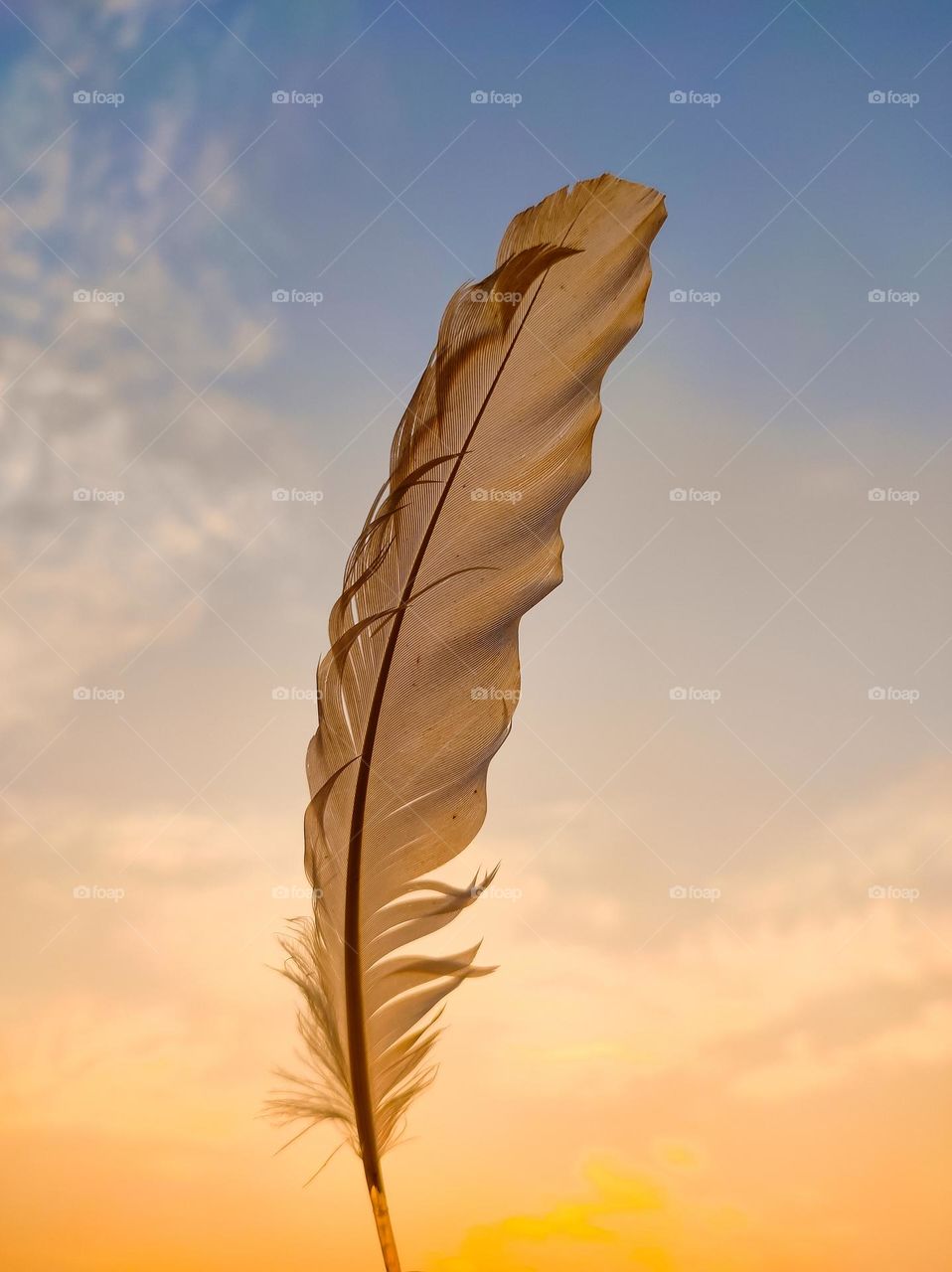 a feature under the sky