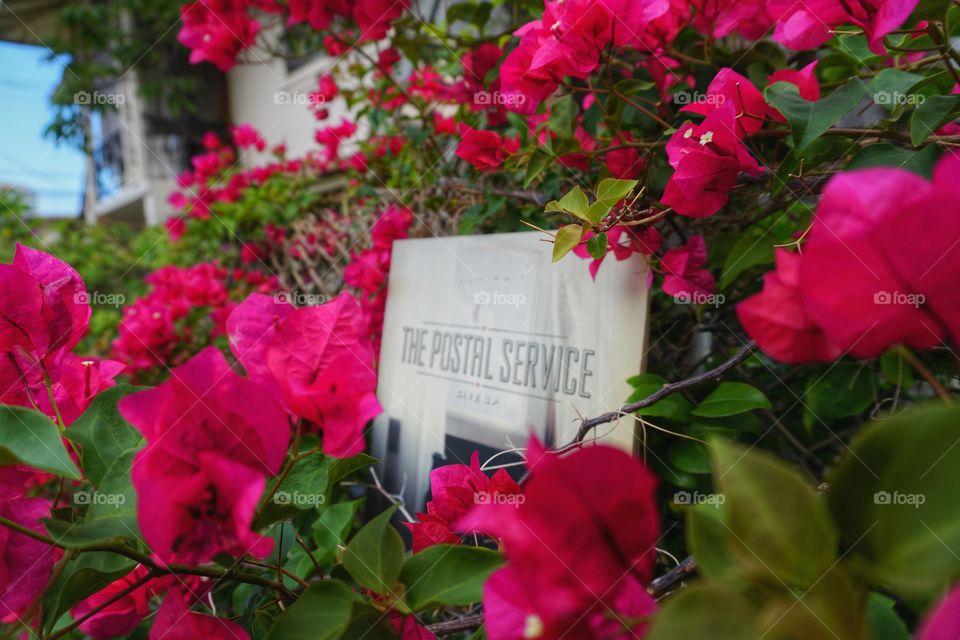 postal service give up