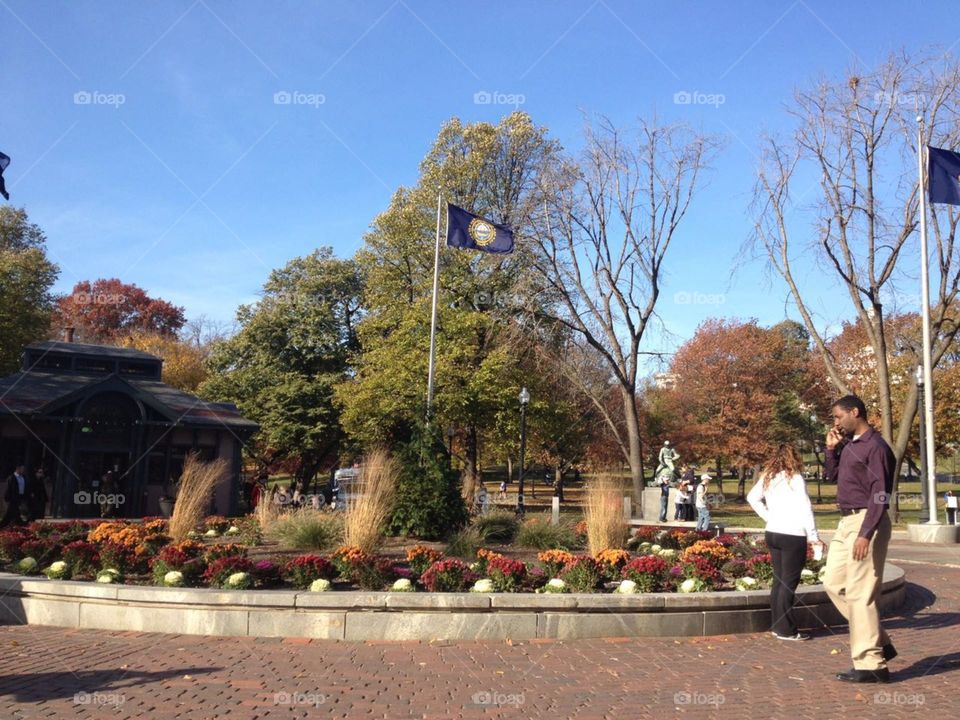 Beautiful world we live in 