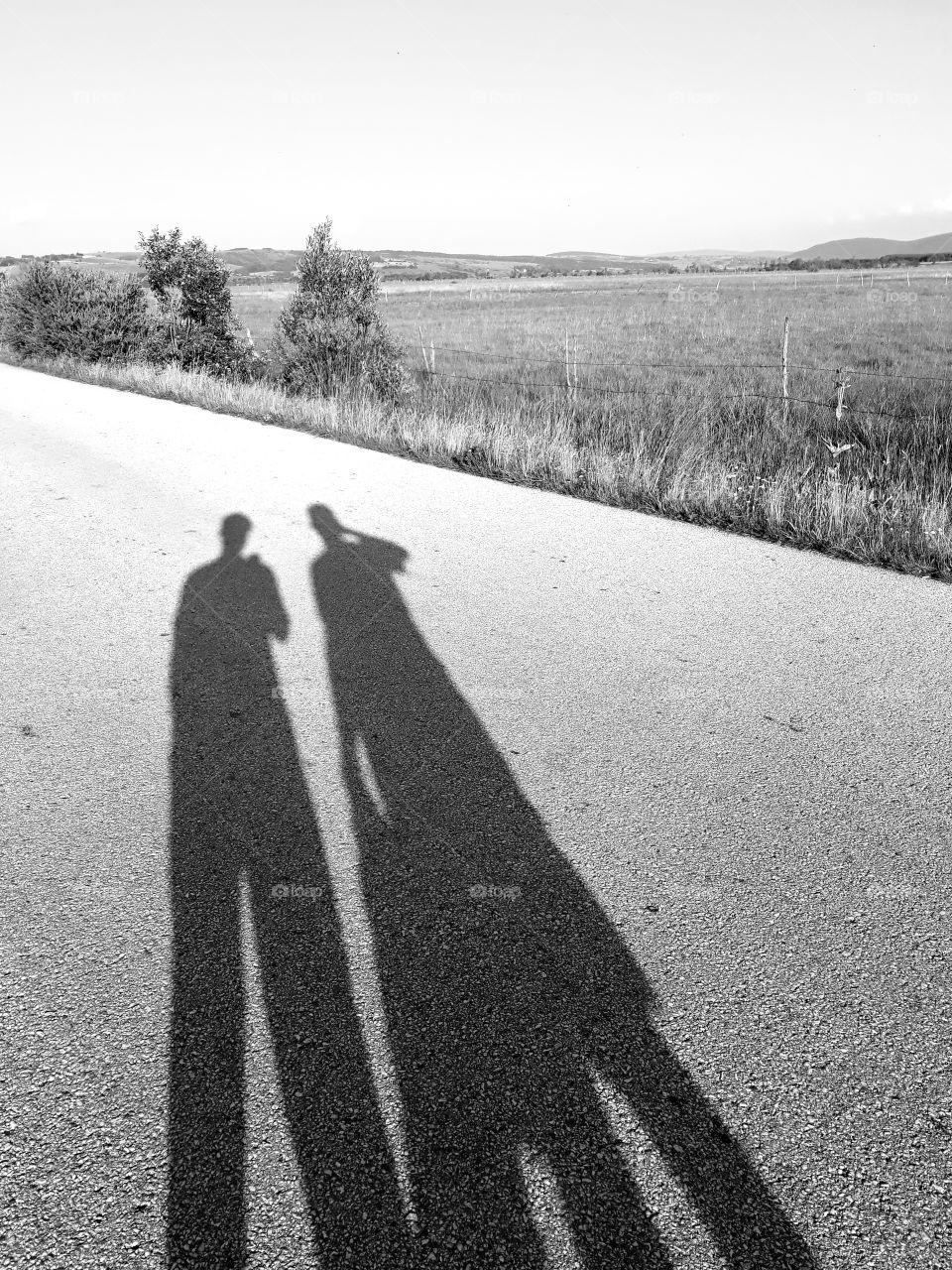 Walking around in nature with an old friend