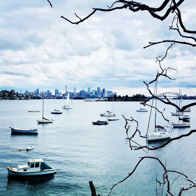 Sydney view 