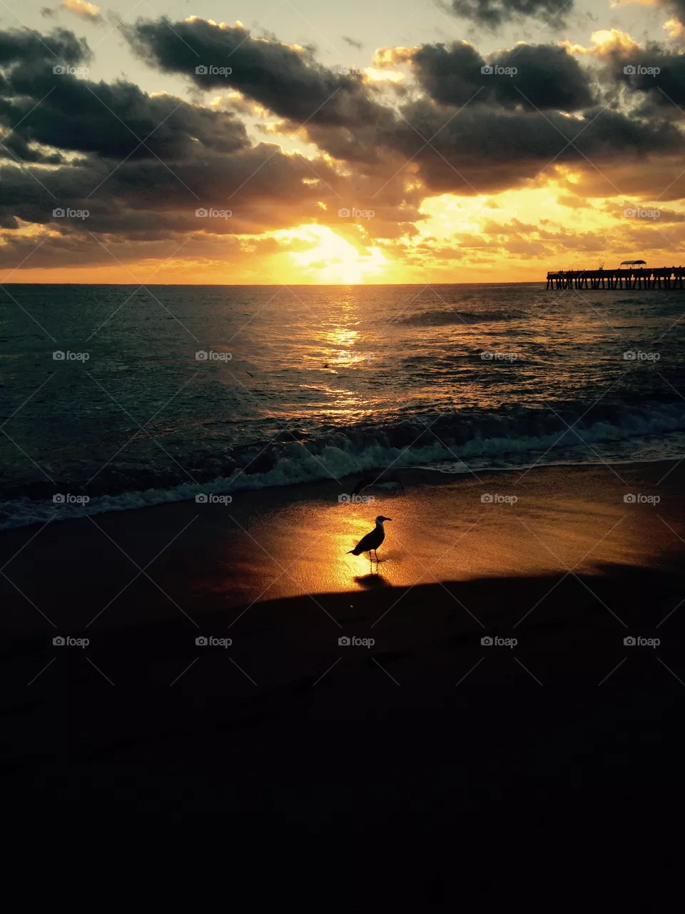 Sunrise 