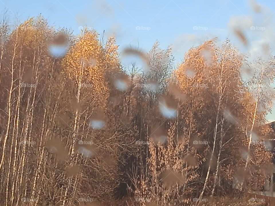 Tears on my window. Heaven is crying. I hope it doesn't rain in November...