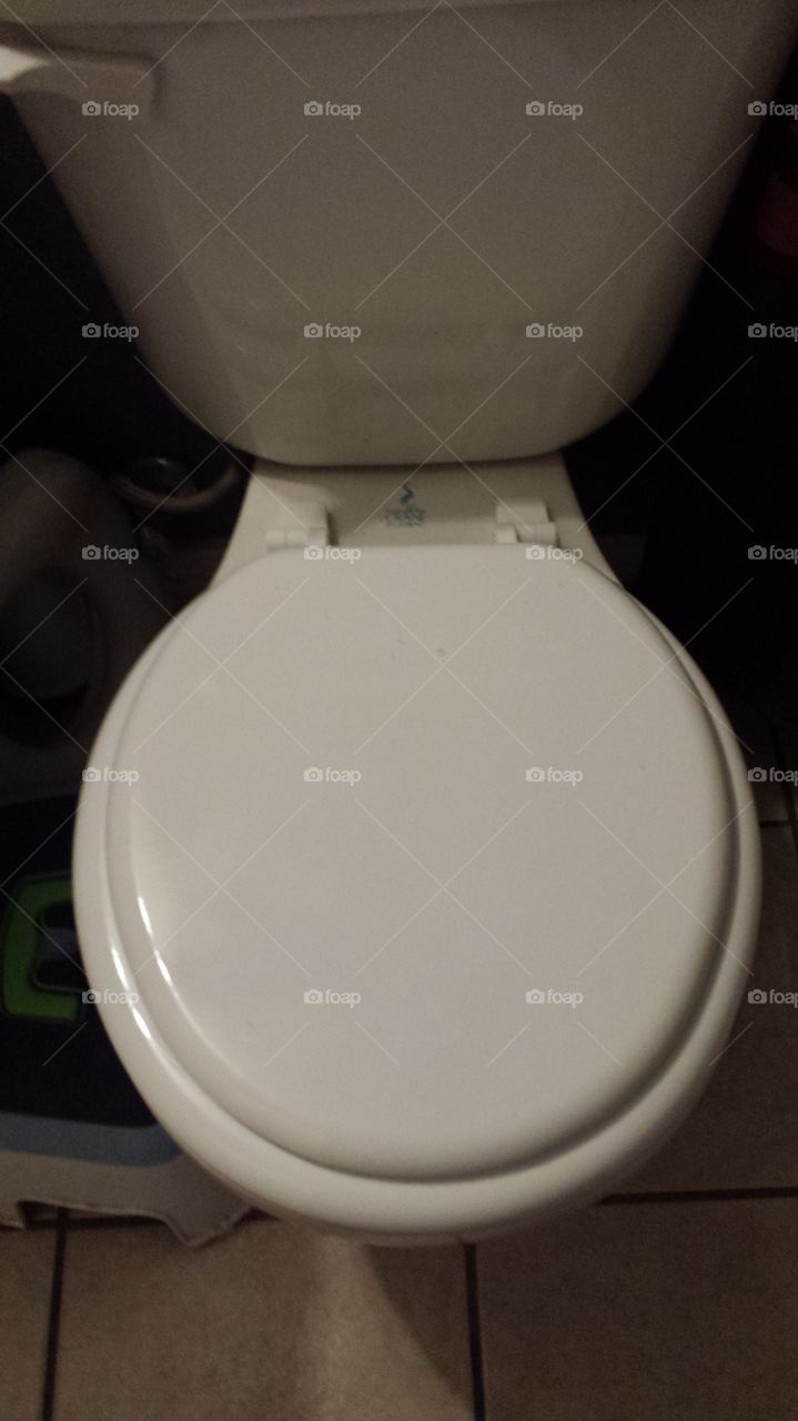 New toilet seat