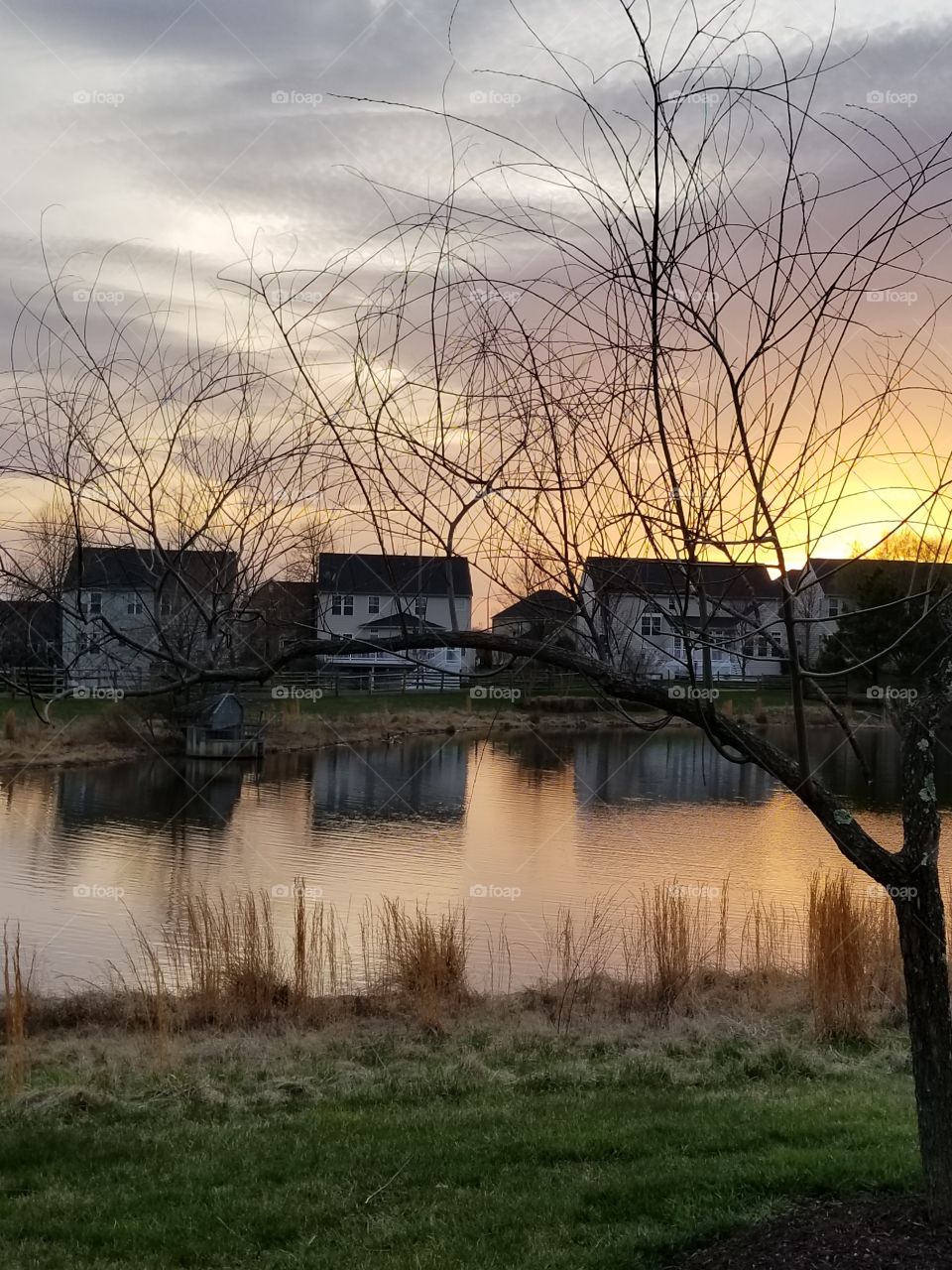 Sunset in the pond
