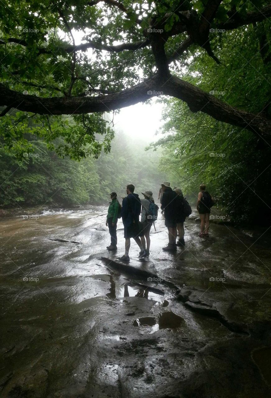 Hikers pause when they come to a scenic spillway in the forest during a morning trek.