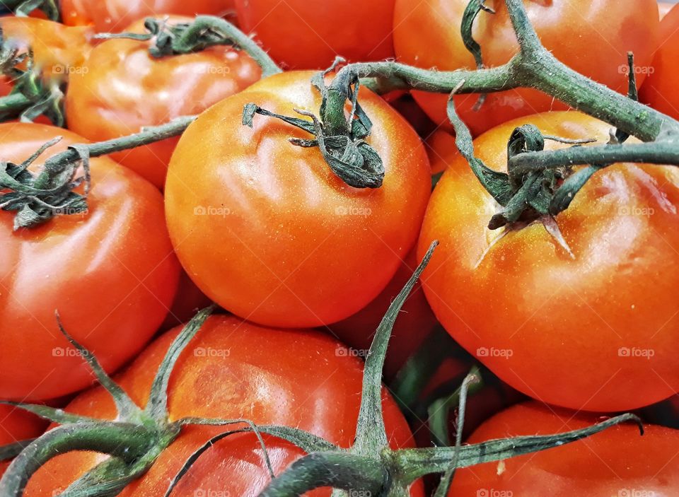 close up of fresh tomatoes