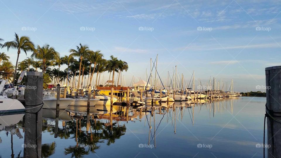still harbor with boats and tropical.palms at sunset