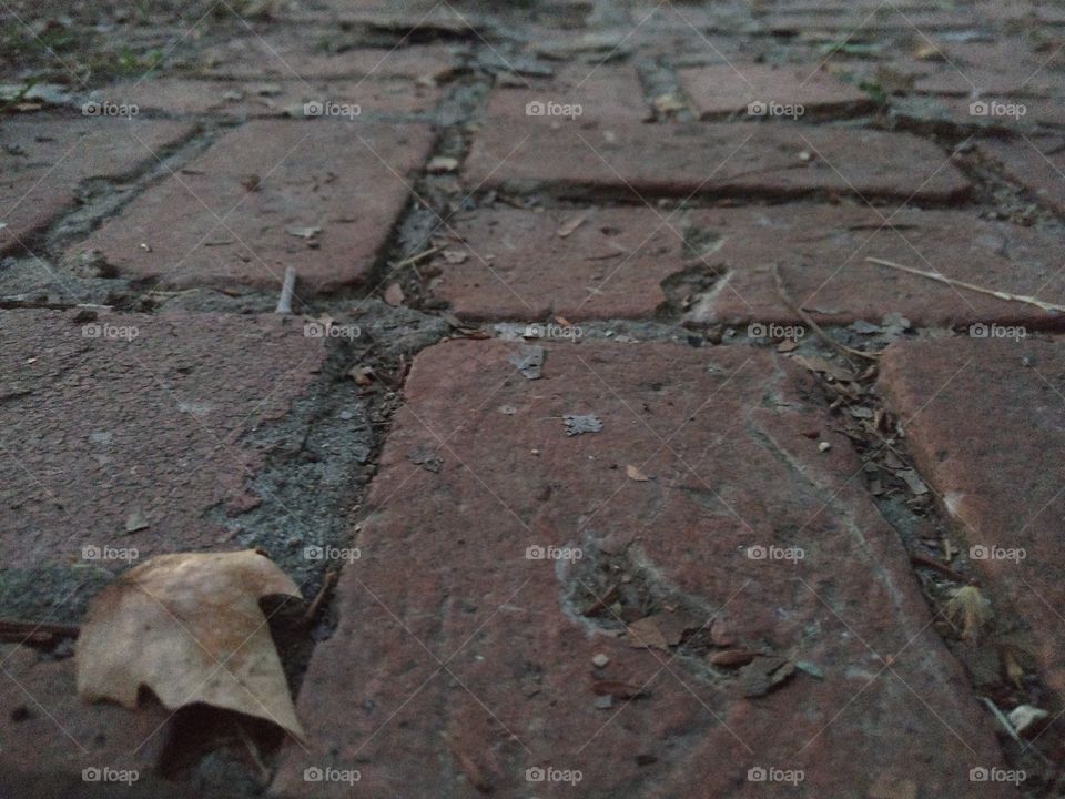 Fall Bricks