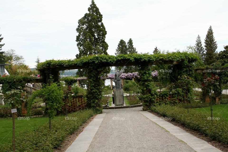 statue in the garden