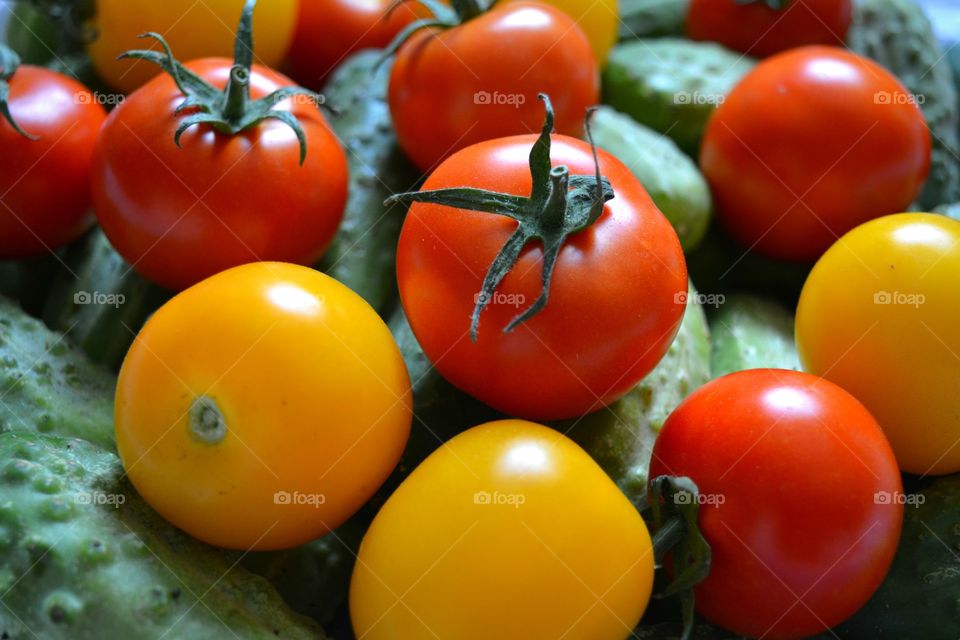 Tomato, Food, Vegetable, Grow, No Person