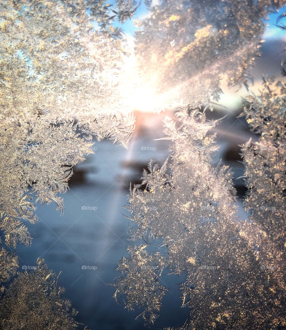 Winter frost