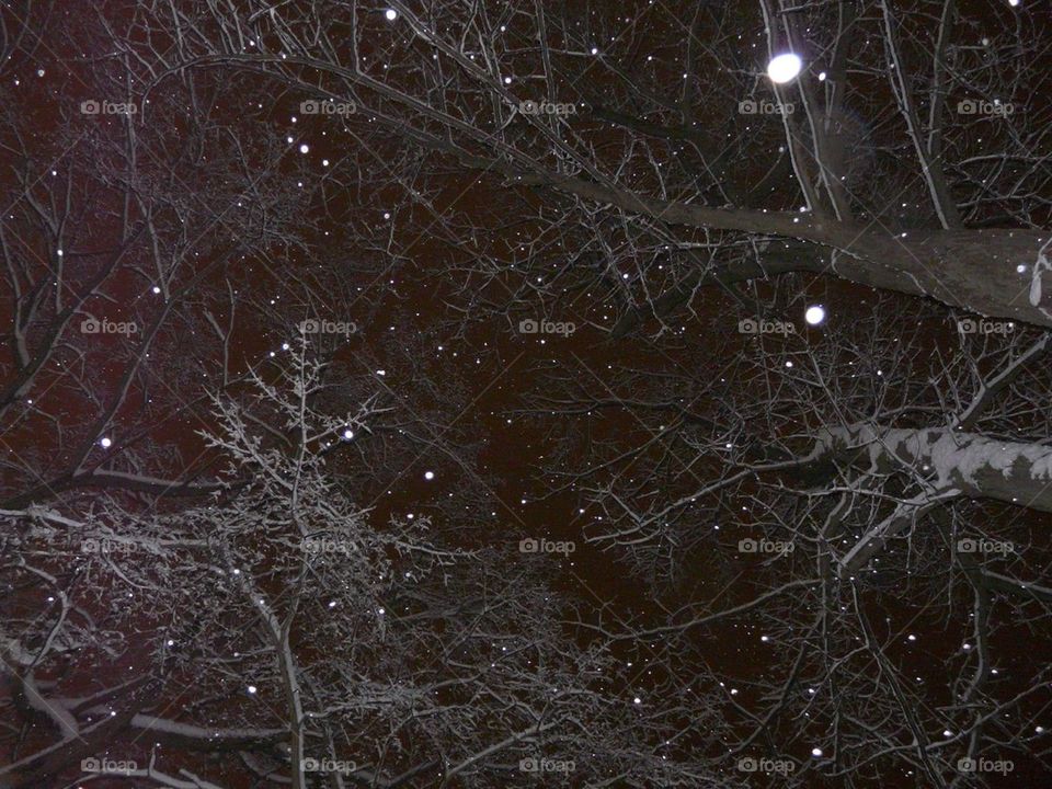 Night snow