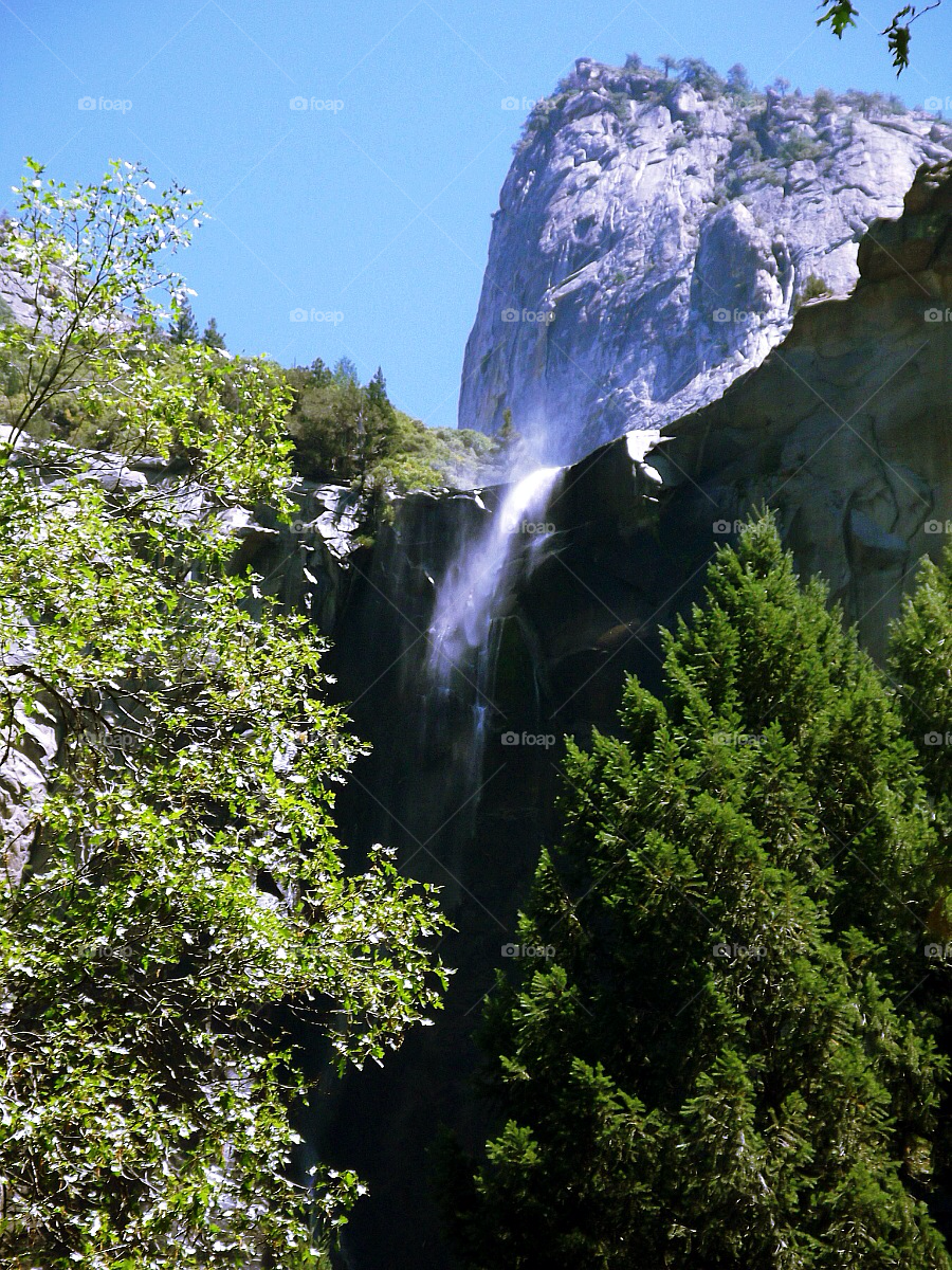 trees water waterfall rocks by tommygirl-uk