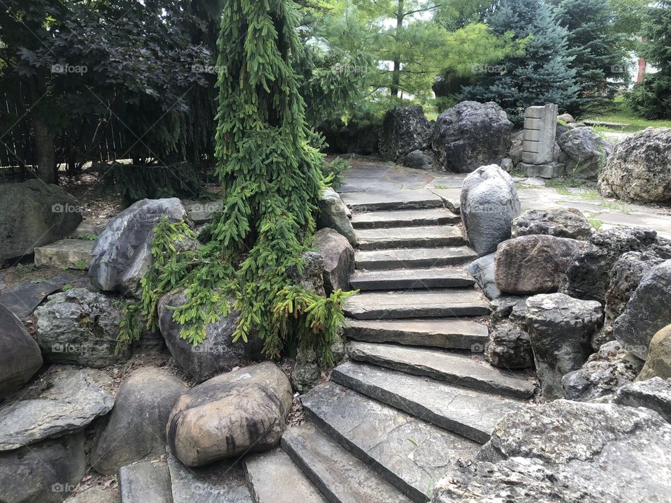 Curving steps in a rock garden.