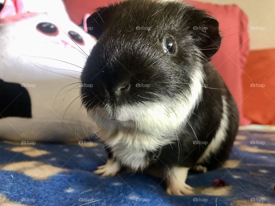 Selfie of Timmy boy - my baby 