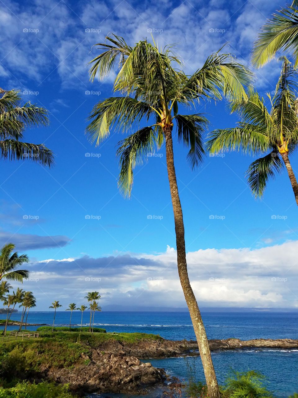 Beautiful view of sea