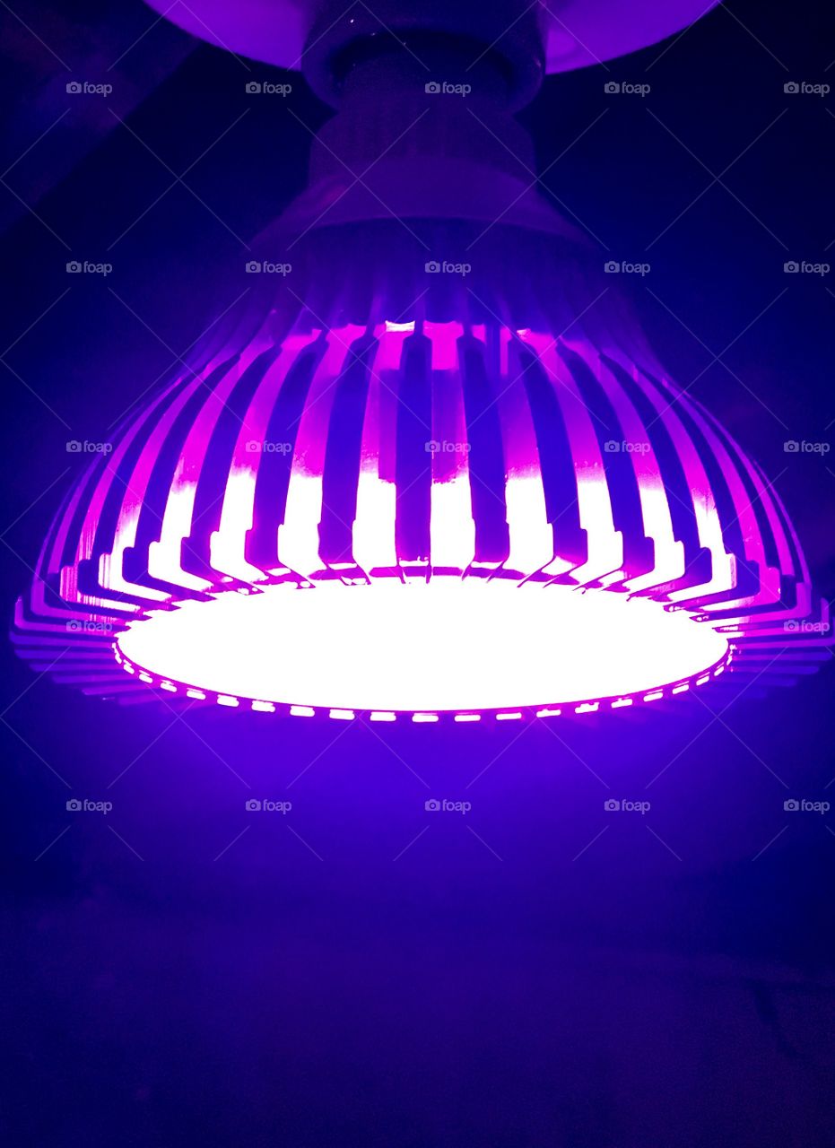 Purple Story - LED - Aquaponics 