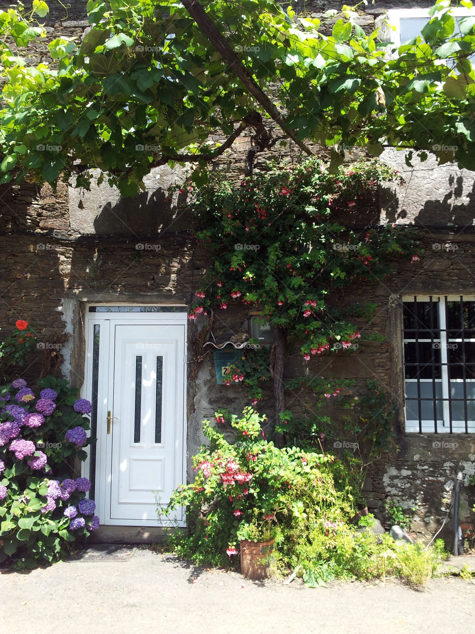 flowers house facade door by rui.dellavanzi