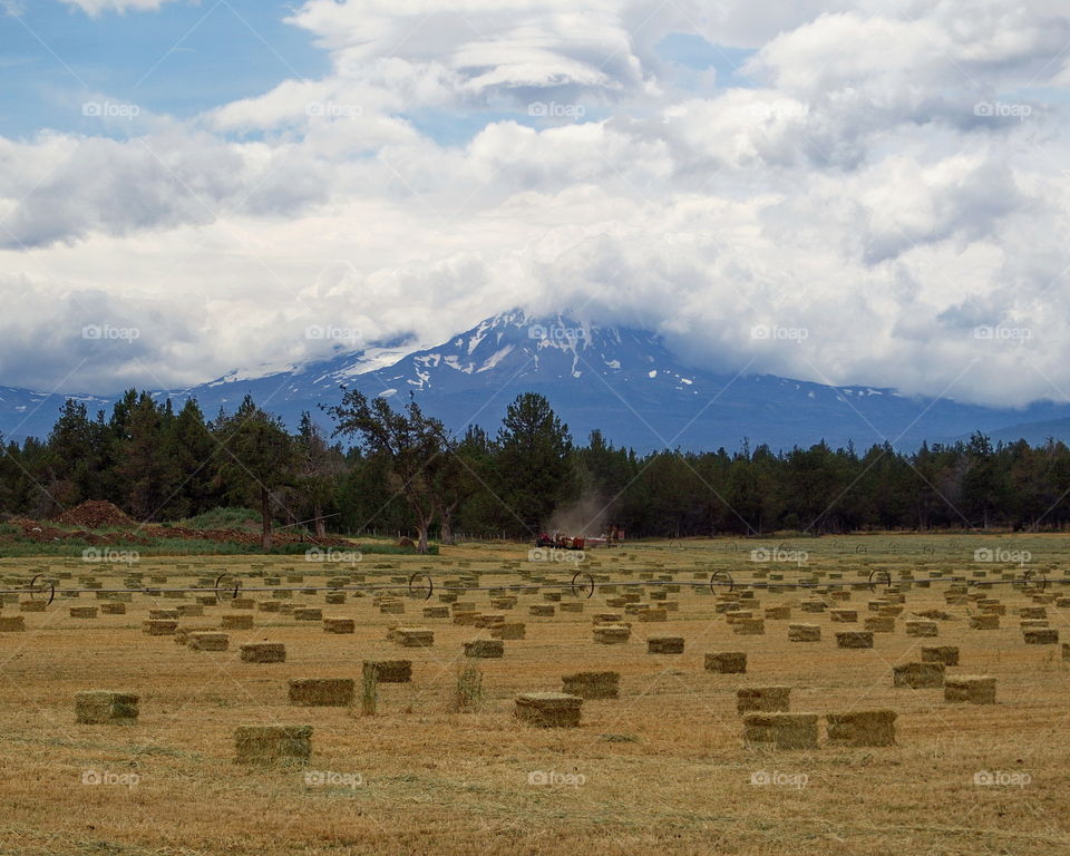 View of hay bale in field