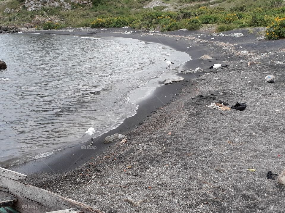Lake Victoria the 3rd Largest Fresh Water Lake in the World