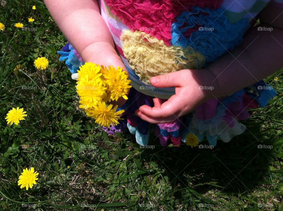 Dandelions for mommy