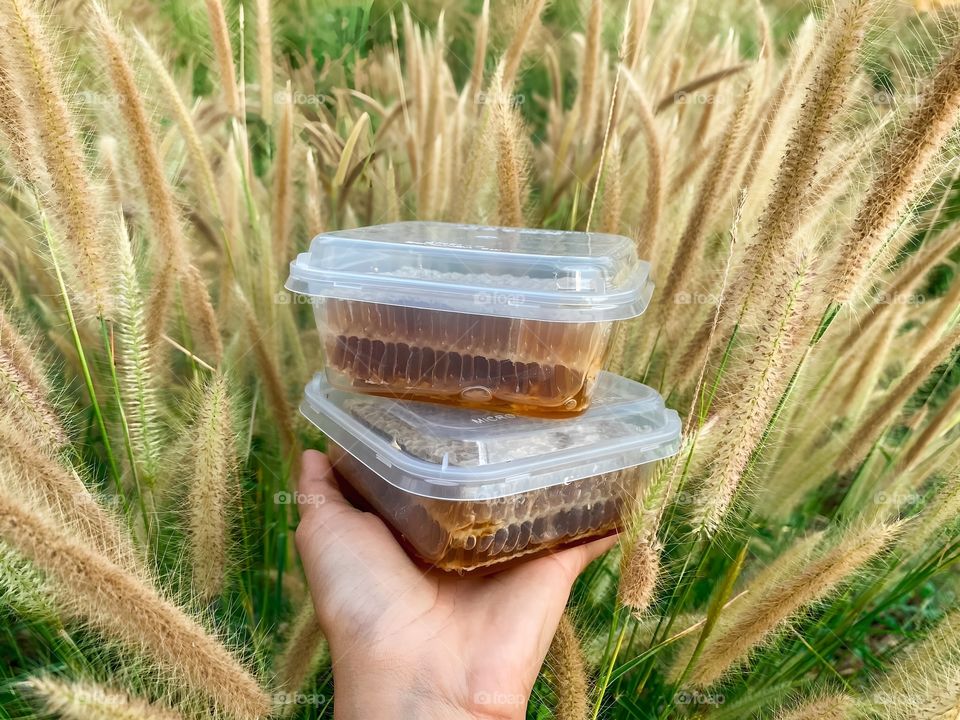 honey nest honey fresh products