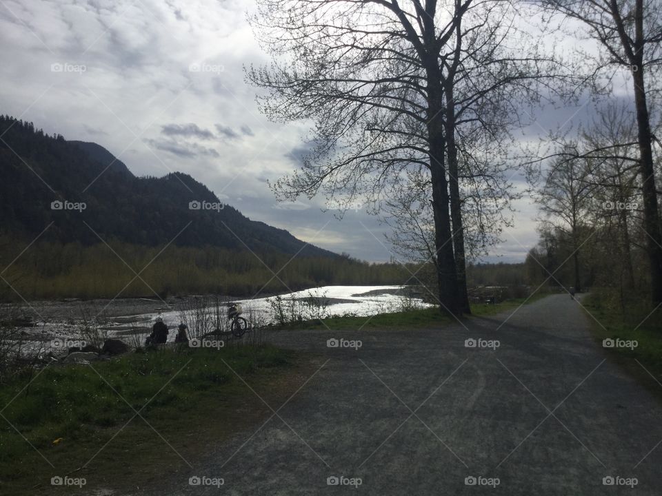 Vedder River in the Springtime 