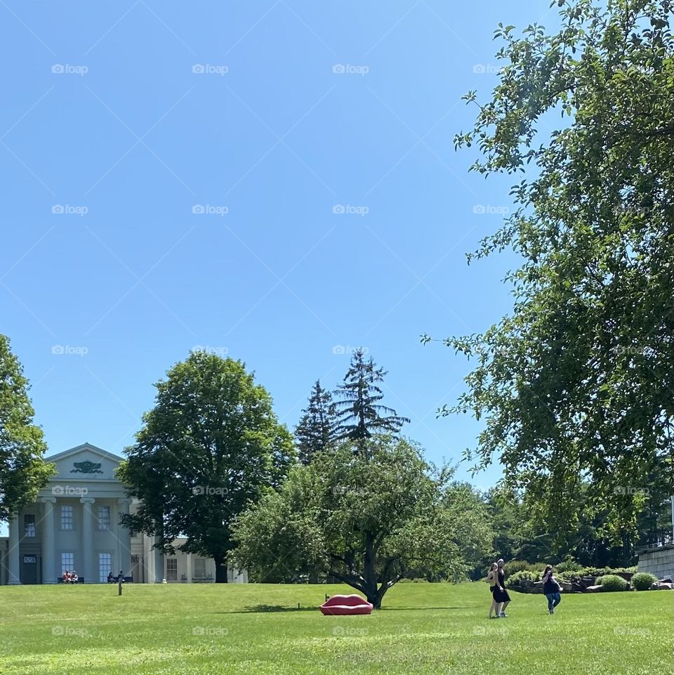 a pink lips sofa under a short tree