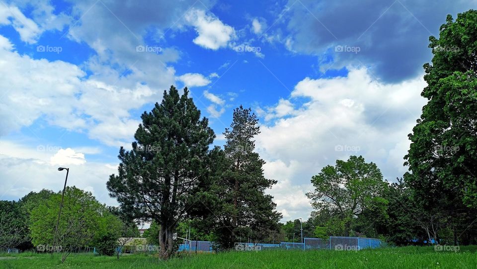 White cloud in nature