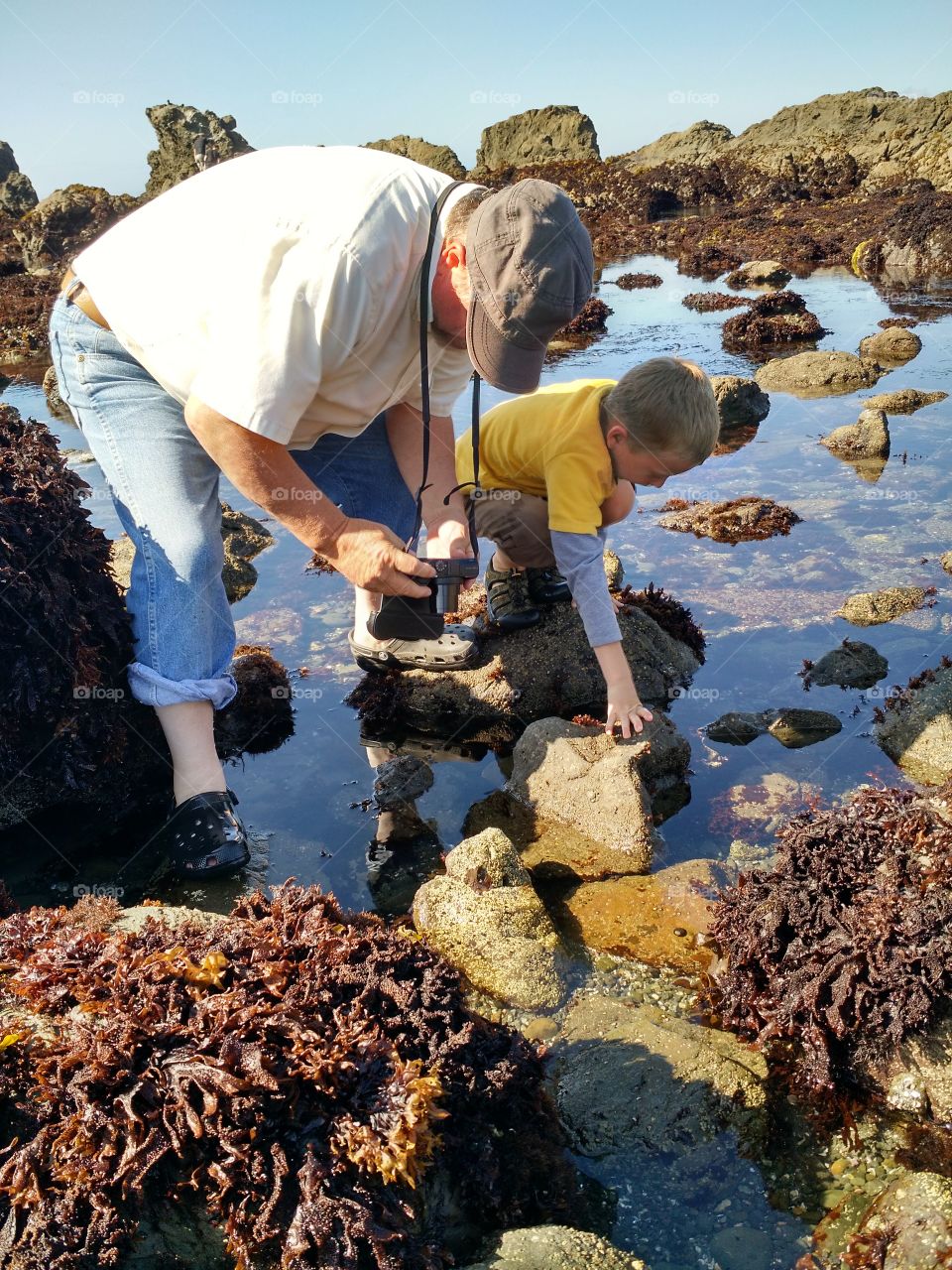 Grandson teaching Grandpa. Oregon tide pools