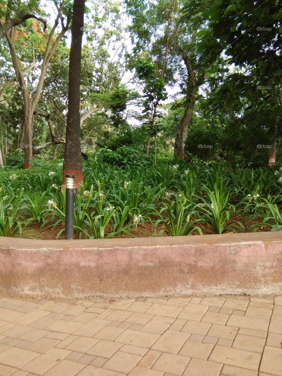 this is Powai Garden.