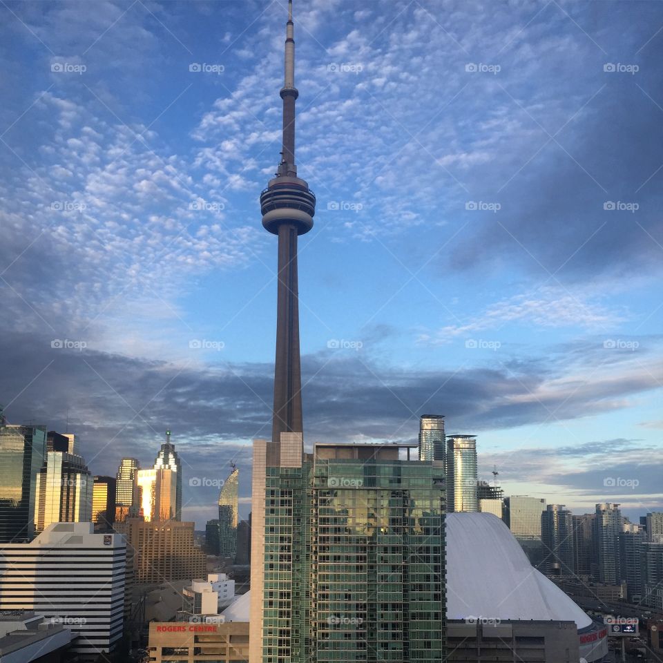 CN Tower & Downtown T.O.