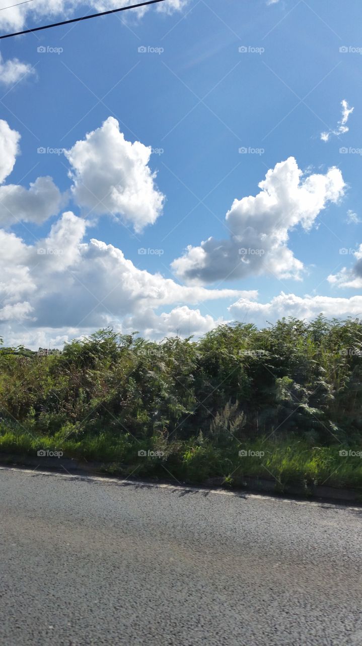Landscape, Sky, Tree, Nature, Road
