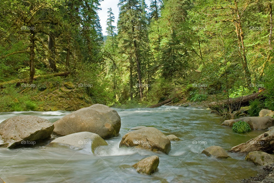 Eagle Creek in the Columbia River Gorge Oregon