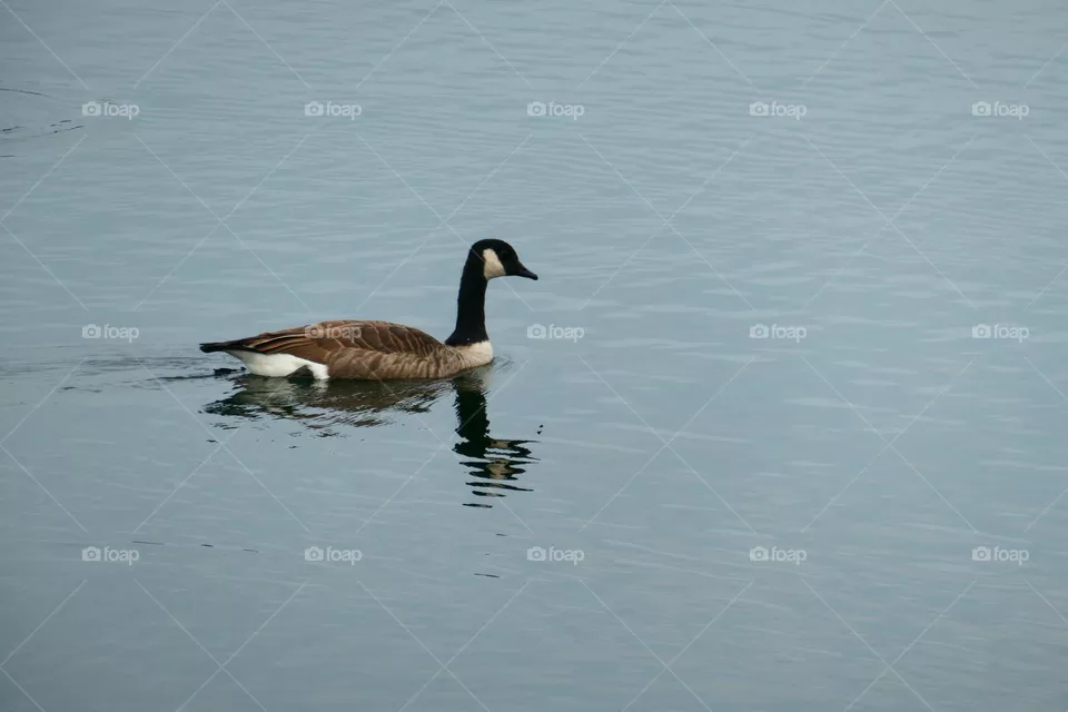 beautiful in Nature