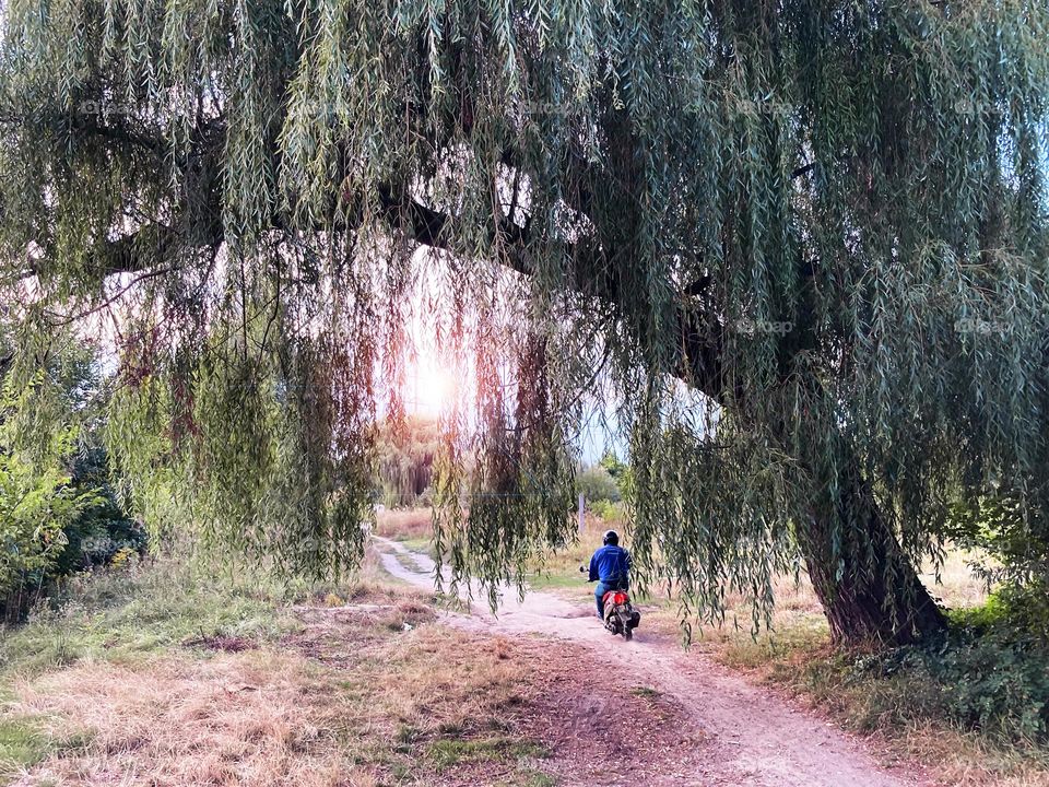 Countryside motorcycle riding 