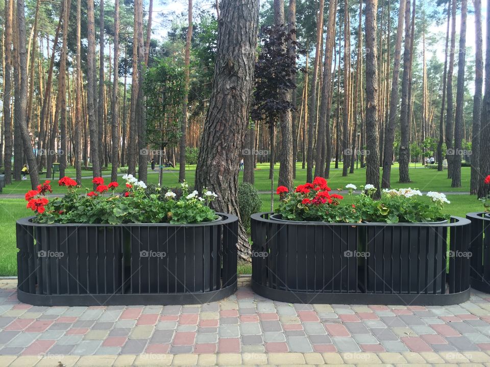 Flowerpots in a park