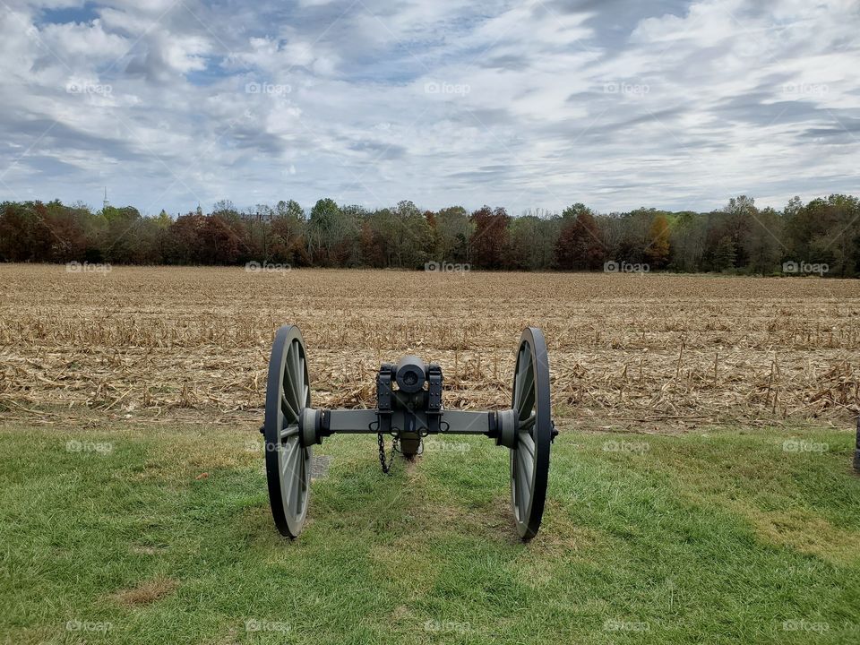 Cannon in a field.