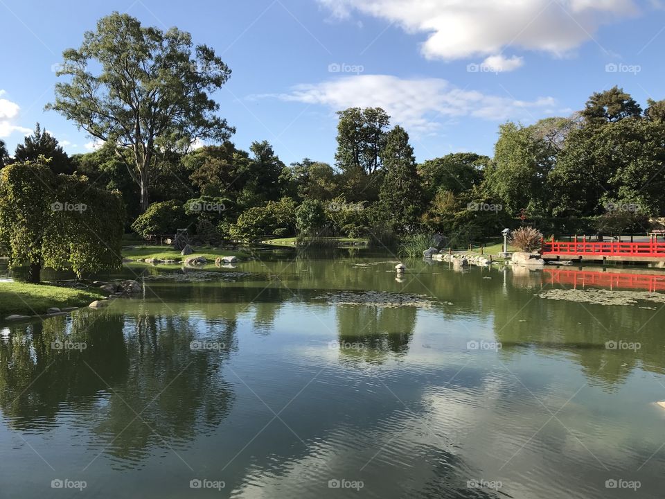 Japanese Garden