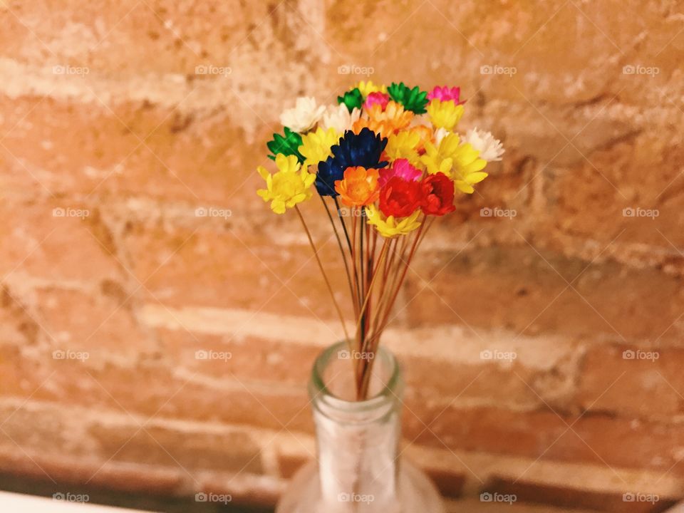 No Person, Flower, Decoration, Nature, Vase