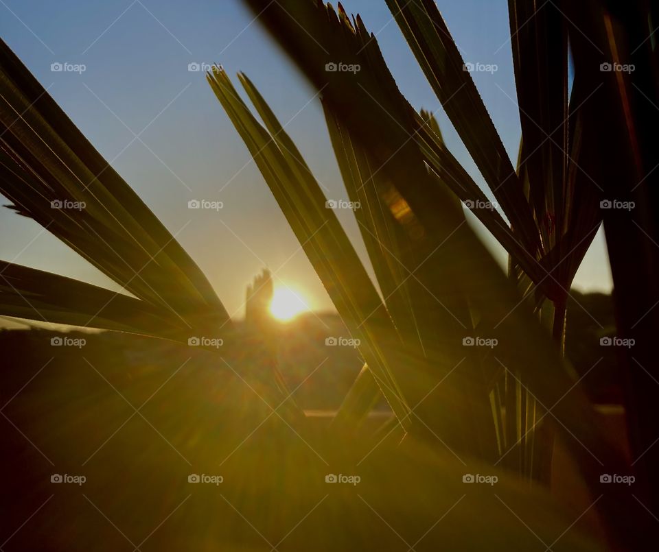 E esse solzão entre as folhagens foi o “bom dia” do domingo, antes das 06h.

Um dia quente e bonito: é o que temos para hoje!