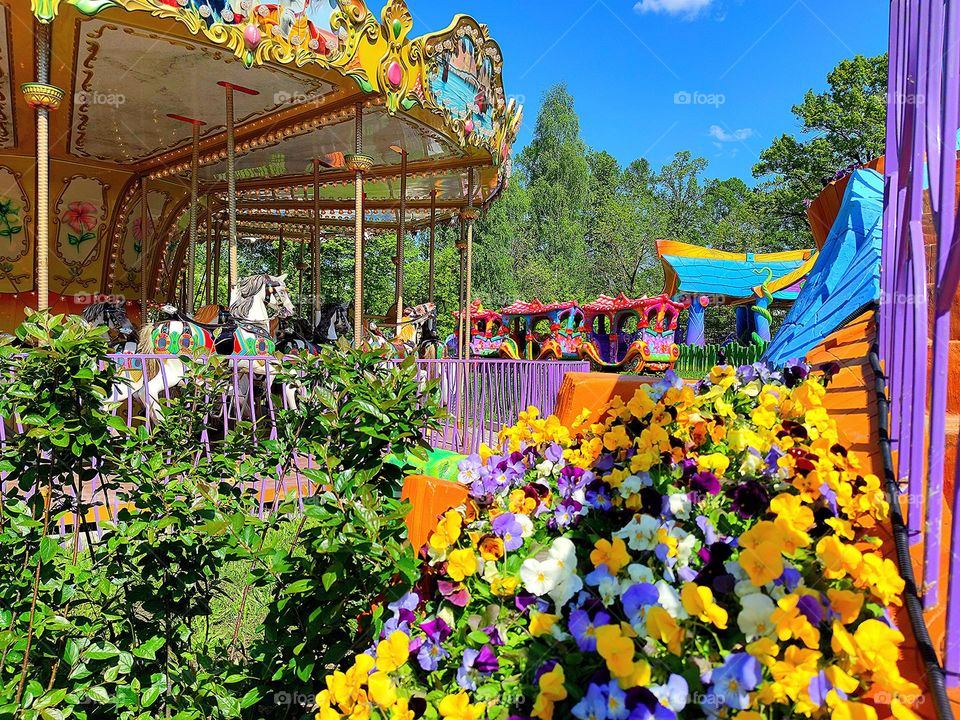 Nature. Plants. Children's amusement park. In the foreground are multicolored pansy flowers. In the background, a multi-colored carousel and a multi-colored train. Attractions are buried in green trees.