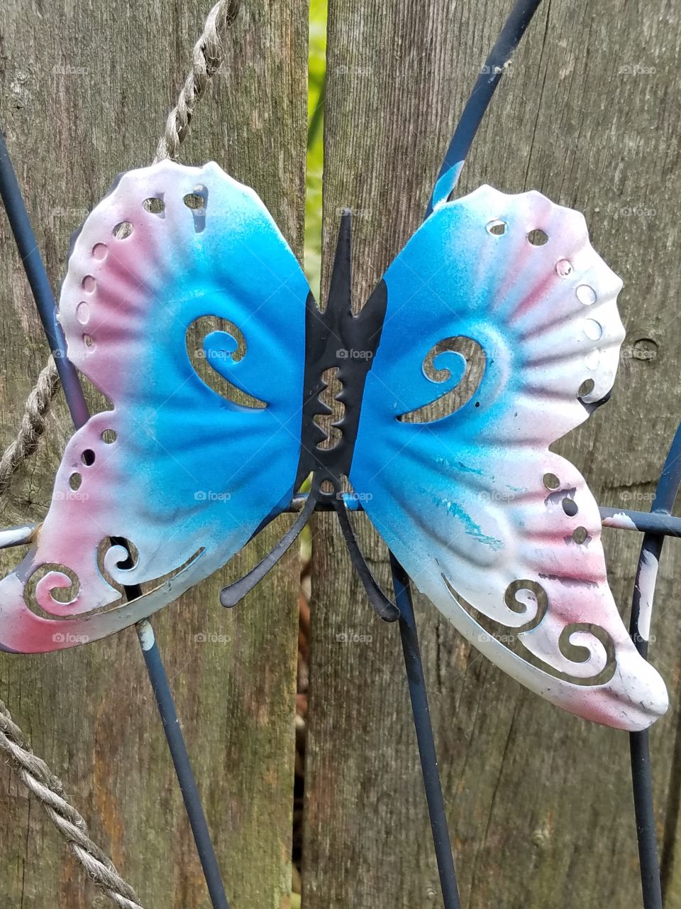 Butterfly sculpture