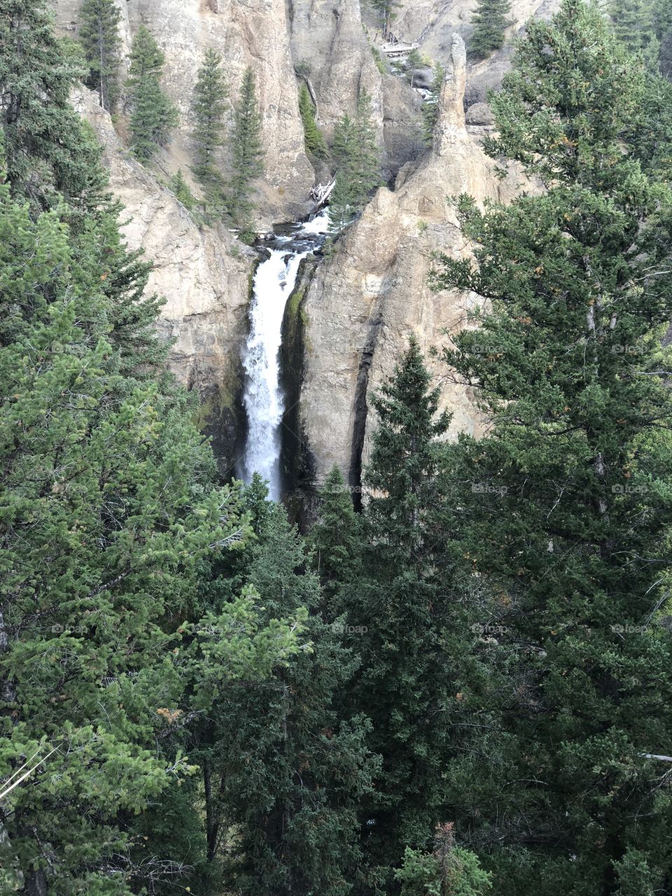 One of many stunning Water Falls in Yellowstone