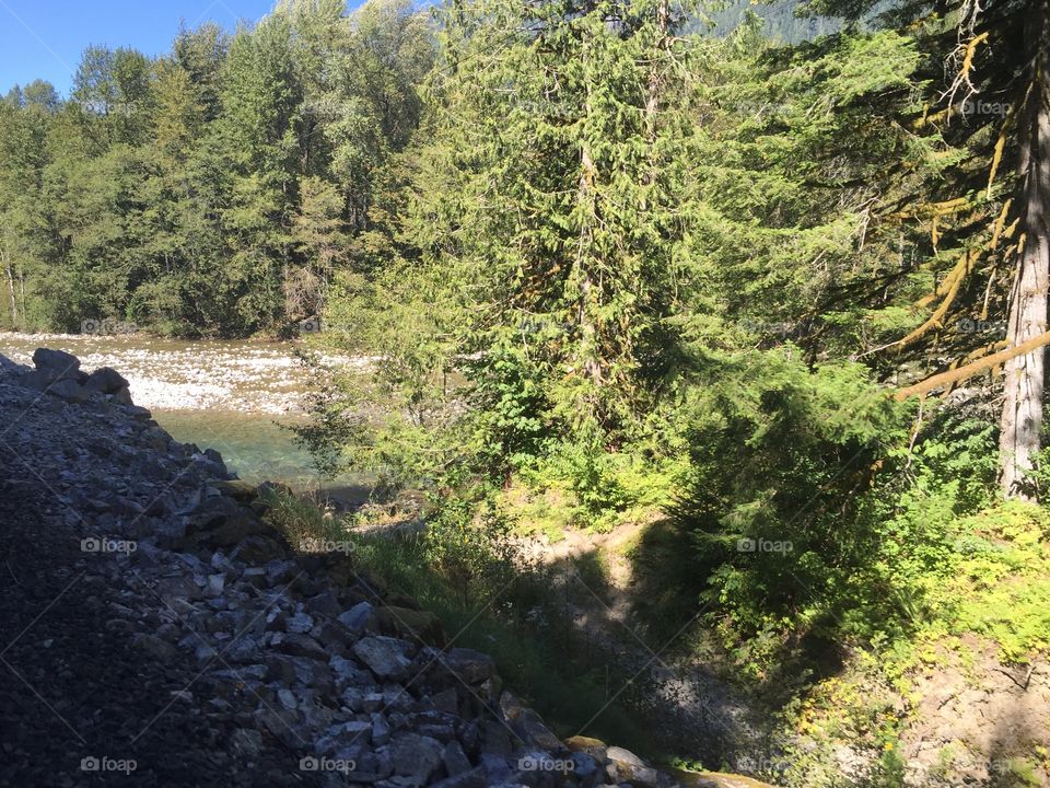 Landscape, Water, River, Wood, Nature