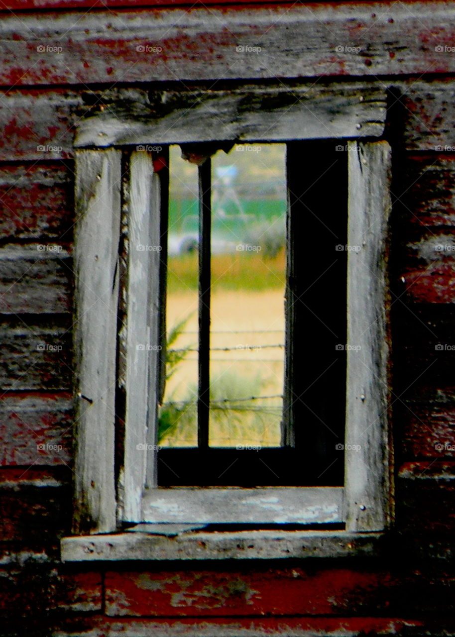 Windows on abandoned barn with farm land in back