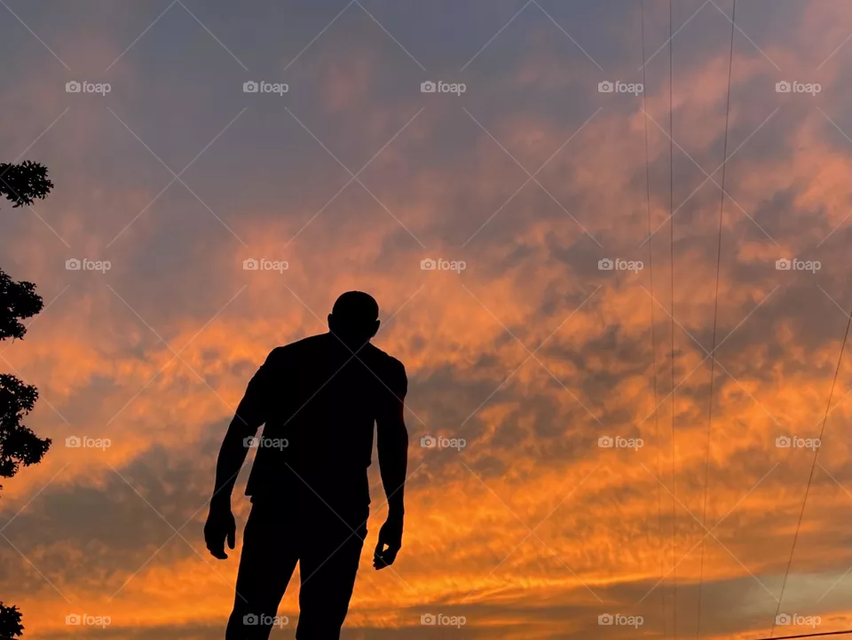 Sunset silhouette 