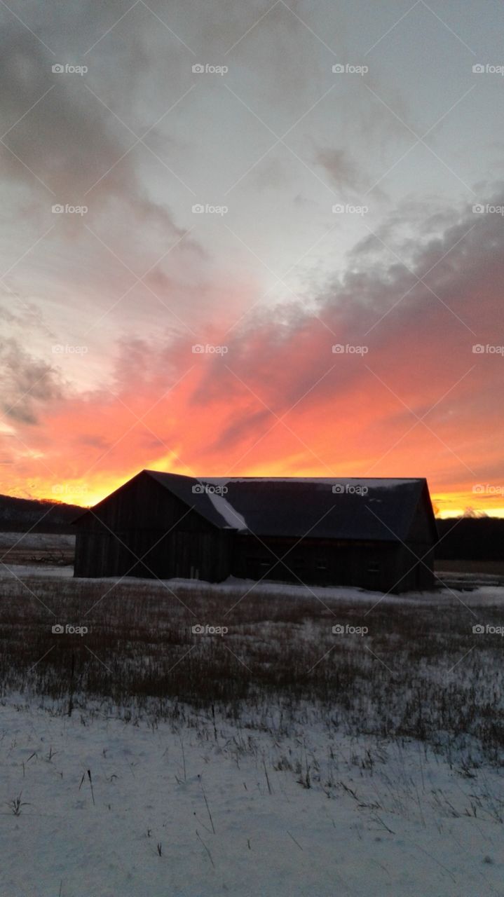 Northern Michigan 